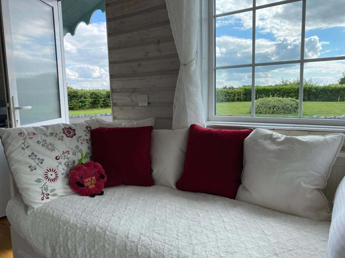 Adorable Cabin In The Countryside Port Laoise Εξωτερικό φωτογραφία